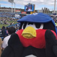 スーパーサイヤ大にゃん