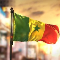 Actualité Brûlante du Sénégal