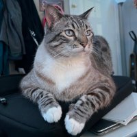 beenoween 🎃👻🫘