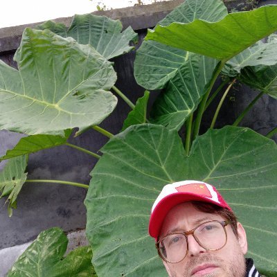 sentient gloomberg...here and there🦋