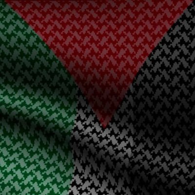 Muhammed Usman Yunus