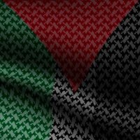 Muhammed Usman Yunus