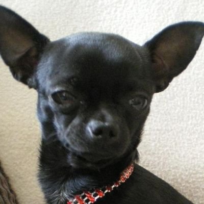 LEGRANDMIMI 🇨🇵