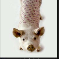 ChantalHamon 🇫🇷 #gueux