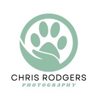Chris Rodgers