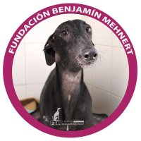 F. Benjamín Mehnert