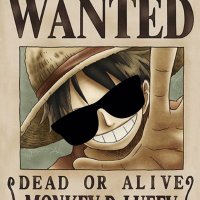 PROP D. Luffy🐵