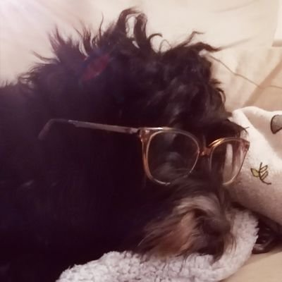 ShakeyPremis #TinBaron