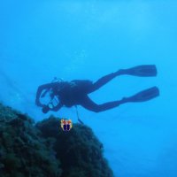 giordano alborghetti