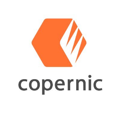 Copernic Search