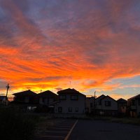 🍌ポリさん😼💙🛀