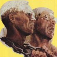 Papylon 🇪🇺 🇮🇱 🇵🇱 🇸🇪