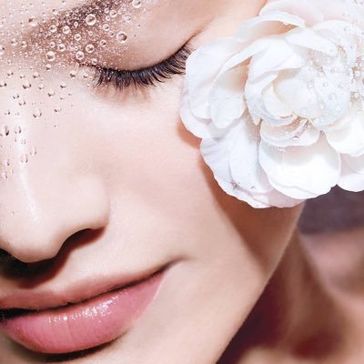 アザレア〜🌸🌸🌸