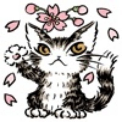 Chat noir_2(しぇのあ)