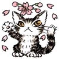 Chat noir_2(しぇのあ)