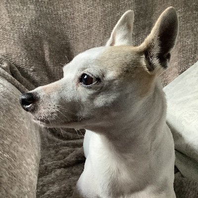 FL girl - Question Everything