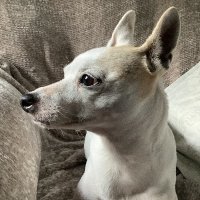 FL girl - Question Everything