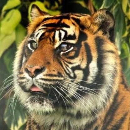 🇹🇷͜͜͡͡✯kaplan19🇹🇷͜͜͡͡✯