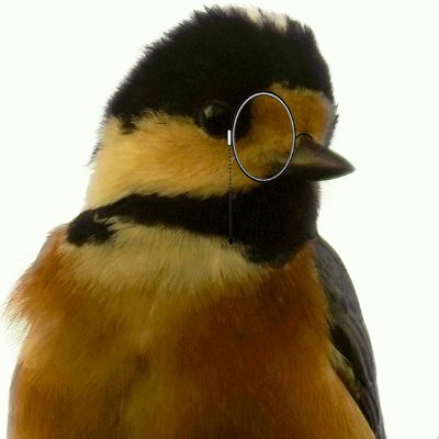 藤🎧ふじ🥷🔥