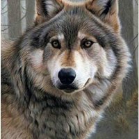 victor Manuel duran's