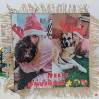 maria🏳️‍⚧️🏳️‍🌈🇺🇦🇵🇸🐾🐶🐶