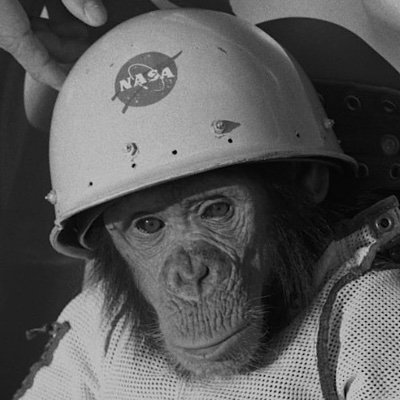 Space Monkey