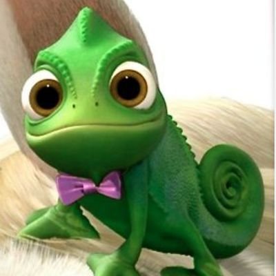 💚🅝🅔🅝🅐 Pazcalina🌷