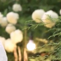 Y🚗✨🐨🍓🍮🍜🏀❼❼