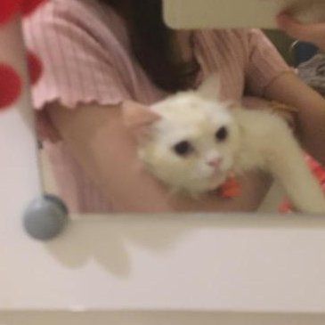 avail jastip blok m apapun