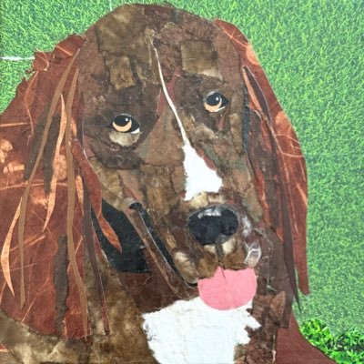 Violet the Newfy 🌈 12/5/2025