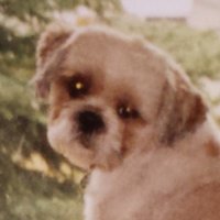 shoos4u🌻🦋(Alffy)🌲