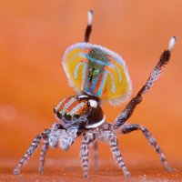 **░▒▓\\\Core///▓▒░**