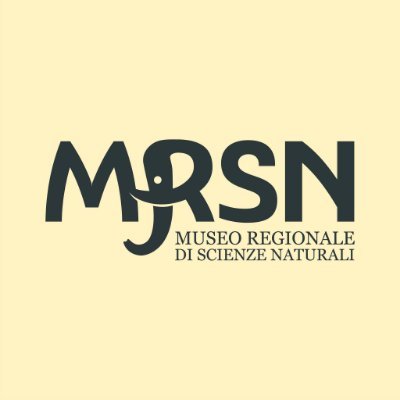 MRSN Torino