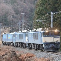 焦点距離の魔術師@記録と記憶/SONY機(α9)とCanon機(R7)