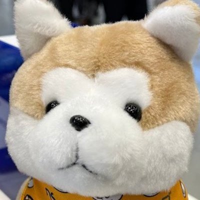 株式会社ネットセーブ