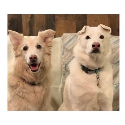 Sadie & Sophie ☀️