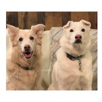 Sadie & Sophie ☀️