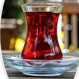 The Holler الهاتف