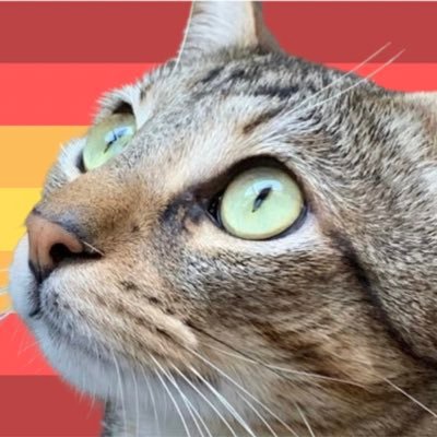 Pícara Pa' Siempre 🇪🇸⚔️