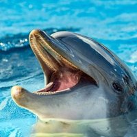 New思考力マイニングCLUB