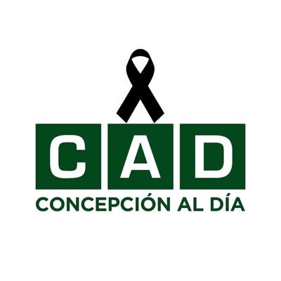 Concepción al Día