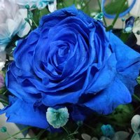 Mエムコ3B💙🖤💜