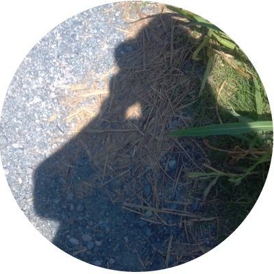 白川秋@しらかわるーむ管理人