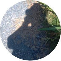 白川秋@しらかわるーむ管理人