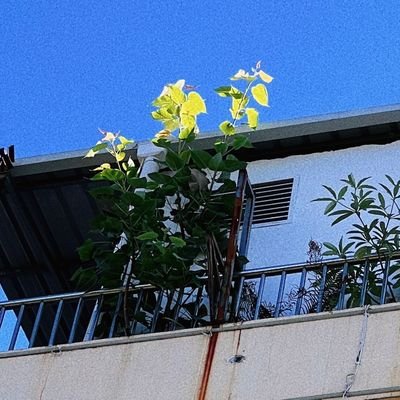 𝓶𝓪𝓰𝓲𝓬.