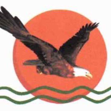 AFC-Alliance Fleuve Congo