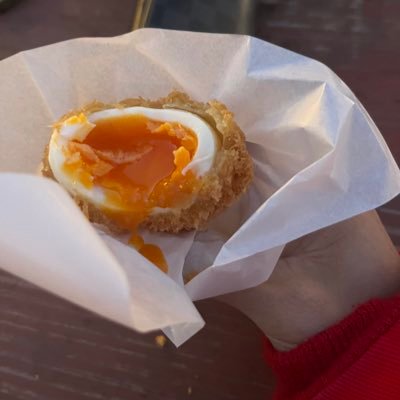 ぼげ　ペニンシュラ