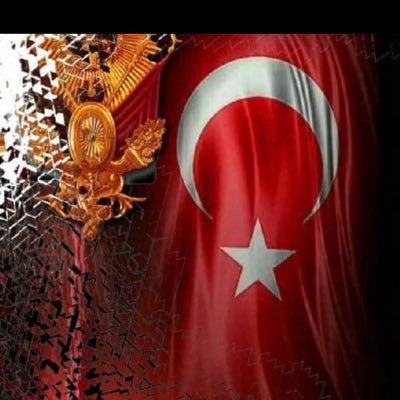yavuz🇹🇷