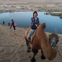 Sophia_Pipeline Machinery Supplier