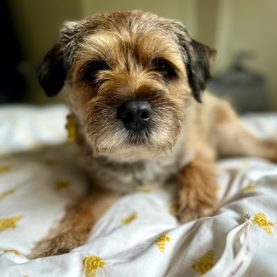 Moss the BT 🇳🇿